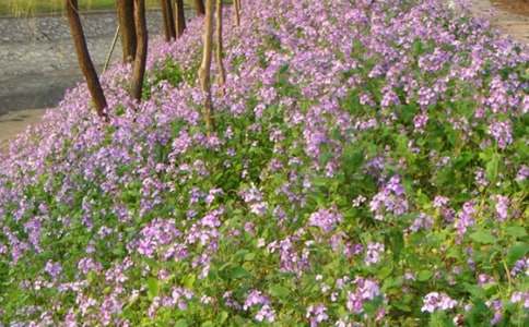 �����m����������400��