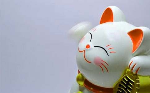 【精選】發(fā)財(cái)樹(shù)作文四篇