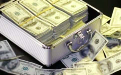 描寫發(fā)財(cái)樹的作文