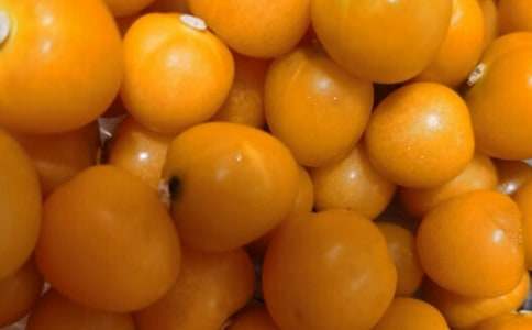 第一次做番茄炒蛋的作文(精選16篇)