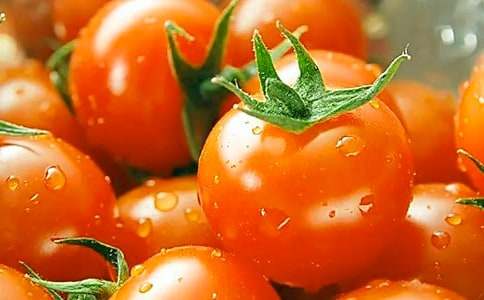 番茄太陽教學(xué)設(shè)計(jì)