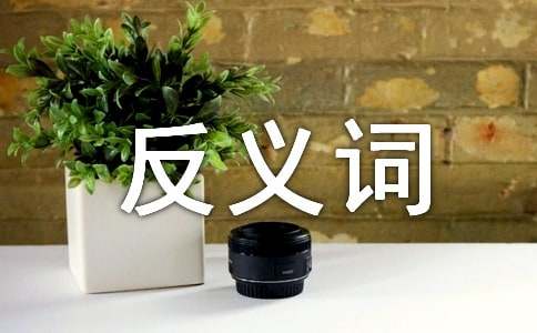 詞語災害的反義詞是什么