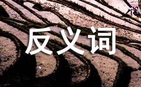 ���x�~���~�Z����Щ