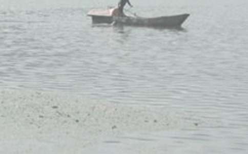 科海泛舟600字作文范文