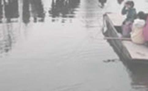 精選科海泛舟作文3篇