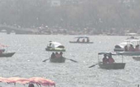 �ƺ����۳�������