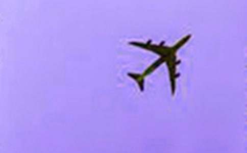 一次難忘的飛機旅行作文