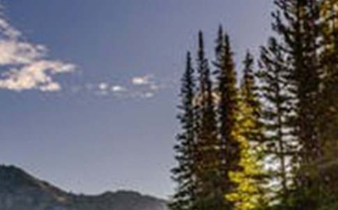 �茑(xi��)�_(t��i)�����L(f��ng)������34ƪ