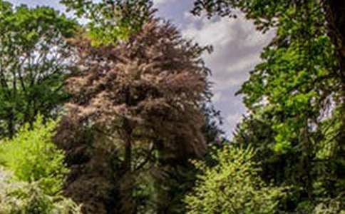 տ������r�L(f��ng)���^(q��)��(d��o)���~����