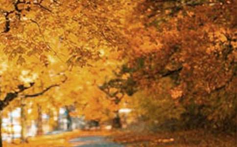 �㽭�������L(f��ng)���^(q��)��(d��o)���~��ͨ��9ƪ��