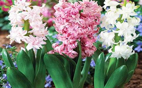 �������L(f��ng)��������800��