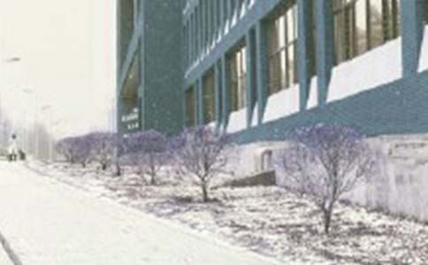  �L(f��ng)ѩ�´��(zh��n)����