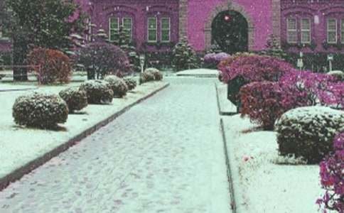 �ҵġ��L(f��ng)ѩС�ݡ�����