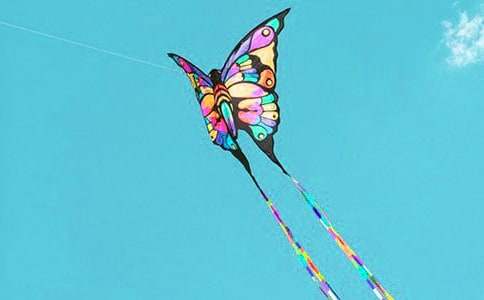 ������L�~�Ľ̌W�OӋ����