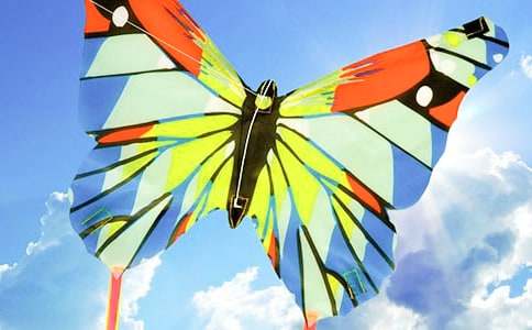 ���������L(f��ng)�~�����ʽ̌W(xu��)�O(sh��)Ӌ(j��)