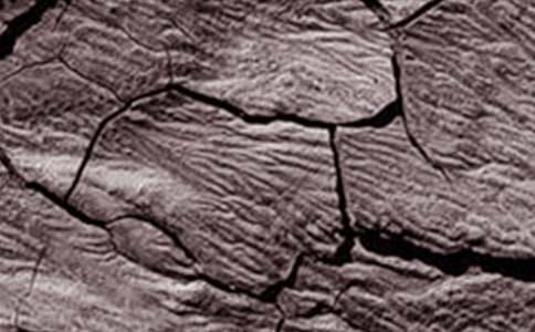 �����ֹ��Į���͸ɺ��գ����o(h��)��(sh��)ľ���h��(sh��)