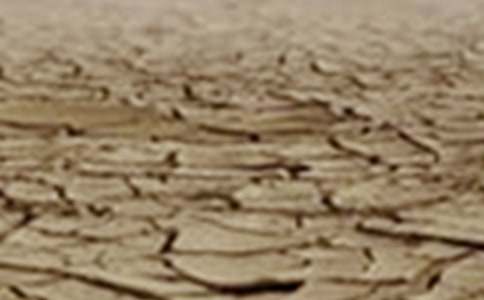 �¸ɺ��؅^(q��)��һ��������