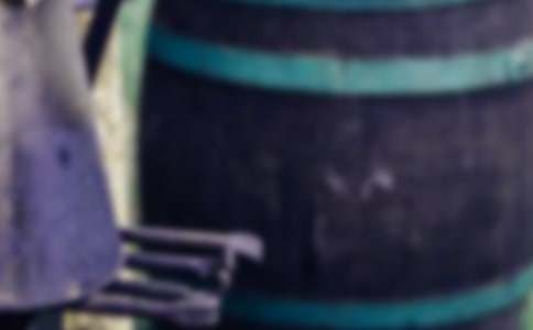 ��F�L(zh��ng)���x��У����x12ƪ��