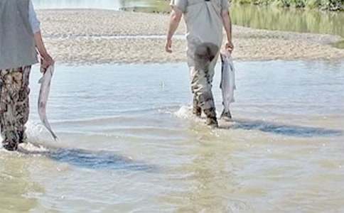 �ҵĸ�炃������350�֣�ͨ��55ƪ��