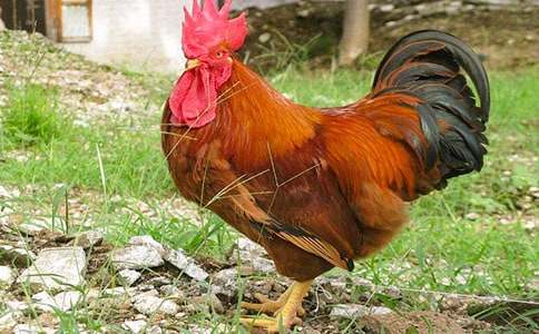 ���꼉�σԡ������Ĺ��u�� �ڶ��n�r�̰��O(sh��)Ӌ