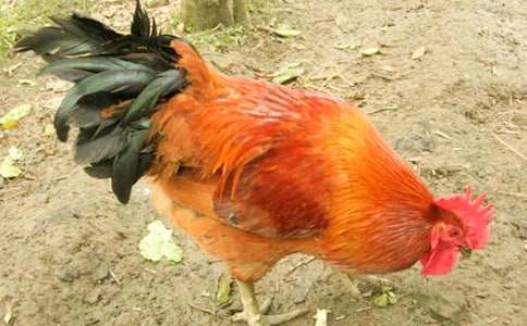 ��(sh��)�õĹ��u��ò����4ƪ