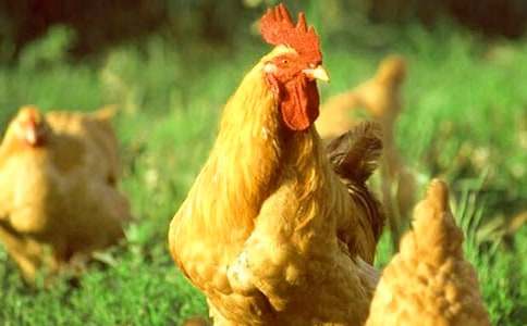 ���꼉(j��)���g(sh��)��(y��u)��̰����G���Ĵ��u����ͨ��14ƪ��