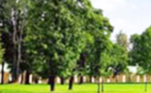 ����(d��o)���~���Ϸʰ����@