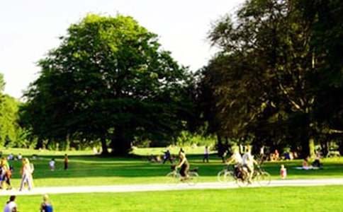 �P(gu��n)�����ڞ����@����