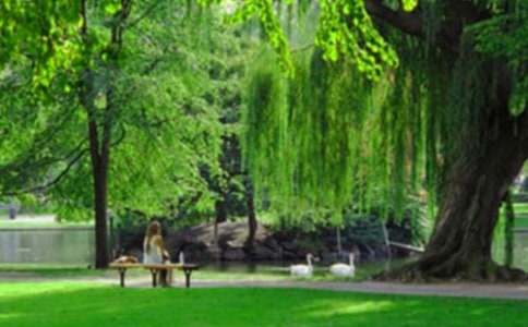 �茑���@������(���x20ƪ)