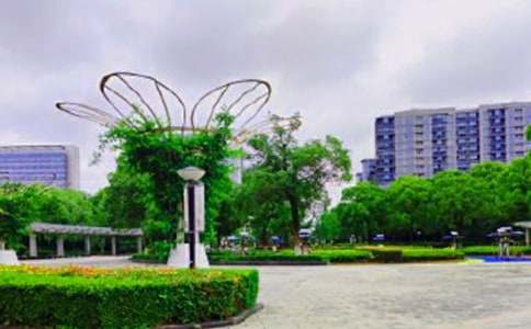 【熱門】公園的作文