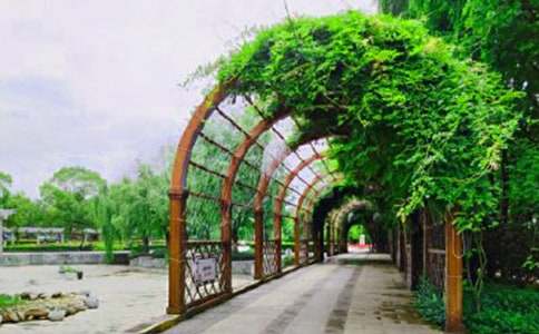 �����茑(xi��)���@�ă�(y��u)������600��