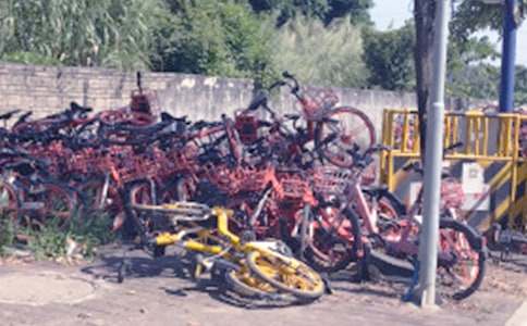 一個共享單車的哭訴初一作文(通用20篇)