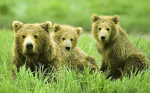 �P(gu��n)�ڹ��ܵ�ͯԒ����