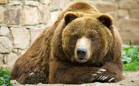 �P(gu��n)�ڹ�������500��4ƪ