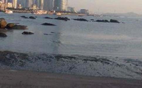 �B�T���ˎZ