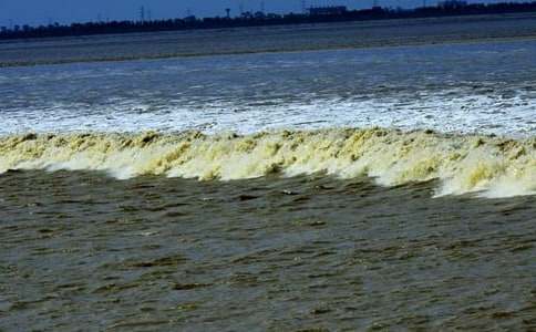 觀潮優(yōu)秀教學(xué)設(shè)計(精選8篇)