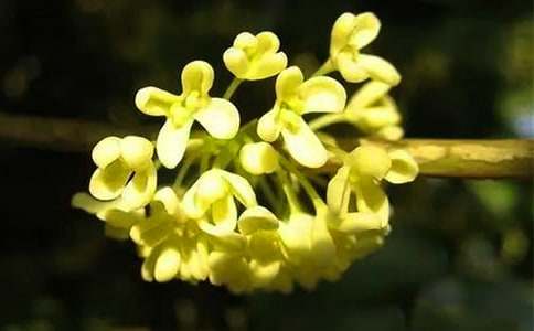 ���µĹ�������800��