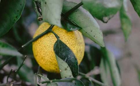 �����@�C(j��)���ˡ��̌W(xu��)�O(sh��)Ӌ(j��)����