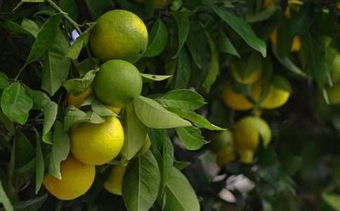 �̌W(xu��)�O(sh��)Ӌ�������@�C���ˡ�