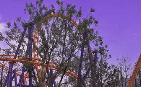 過山車初體驗作文