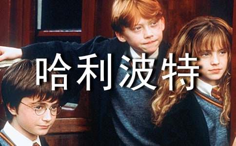 哈利波特讀書筆記500字(精選20篇)