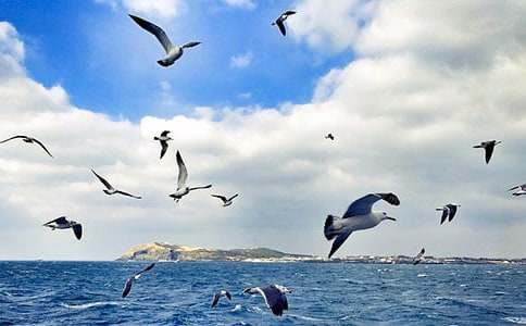 ���t����300�֣�ͨ��36ƪ��