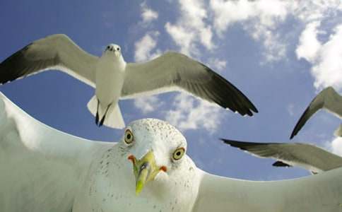 ι���t����700��