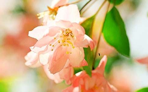 �Ϻ��Ę�����ģ����x8ƪ��