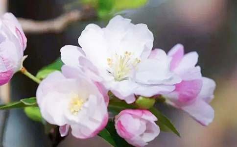 ���Ğ���Ŀ��������80Ԫ���������(x��)