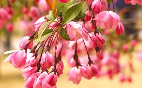 ���Ļ��~�ӵ�����