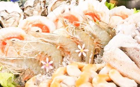 �B�T���r����500��