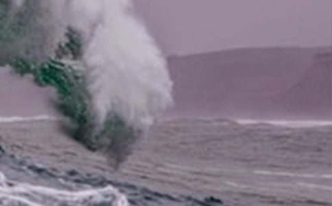 給海嘯災(zāi)民的一封信