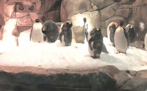 �κ��󹫈@���ġ��᡿