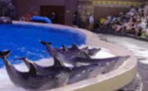 �������o��ʹ���ϳ������